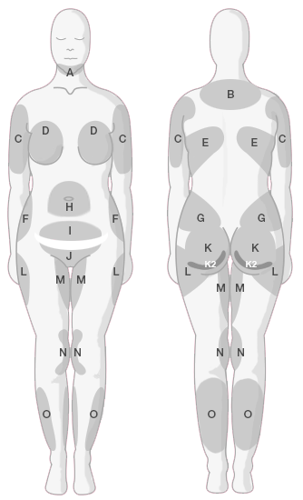 A picture containing different  Description automatically generated